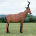 Wildcrete Red Hartebeest